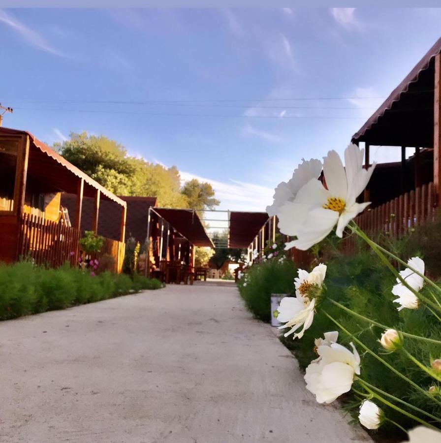 Violet Village Борш Экстерьер фото